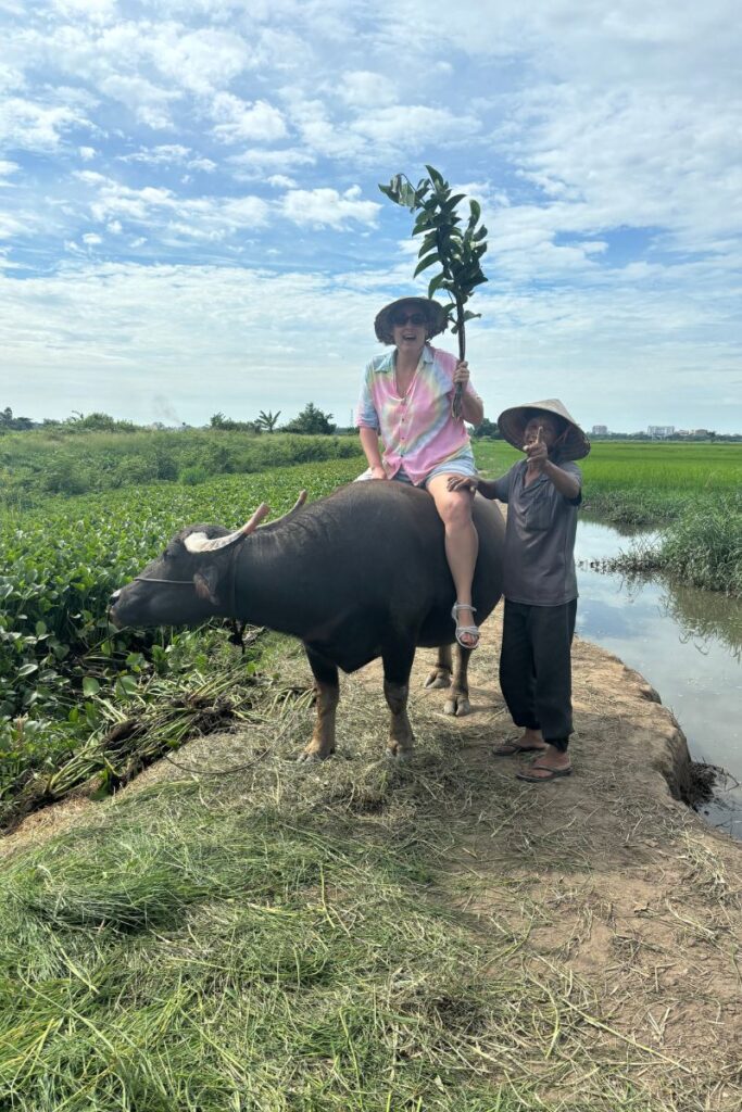 Posing on a water buffalo in a Vietnamese rice field, a setup sometimes linked to scams in Vietnam where unexpected fees are charged for photos.