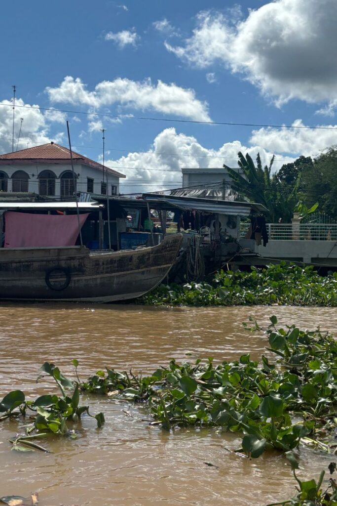 Homes on the Mekong Delta are lively and unique