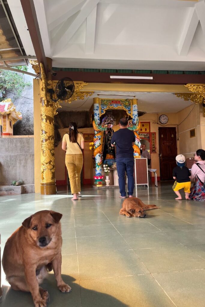 Dogs and people at Ba Den Pagoda 