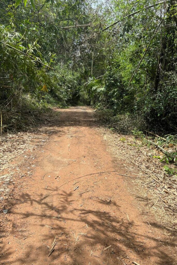 Bike path in Cat Tien National Park