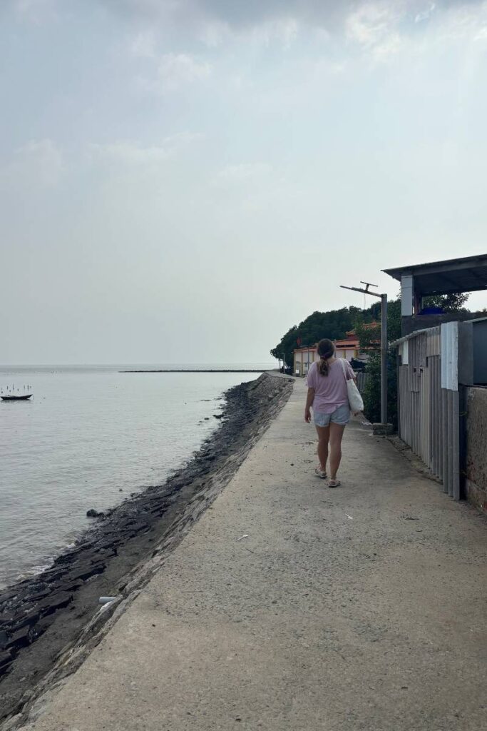 Walking down the boardwalk on Thanh An Island