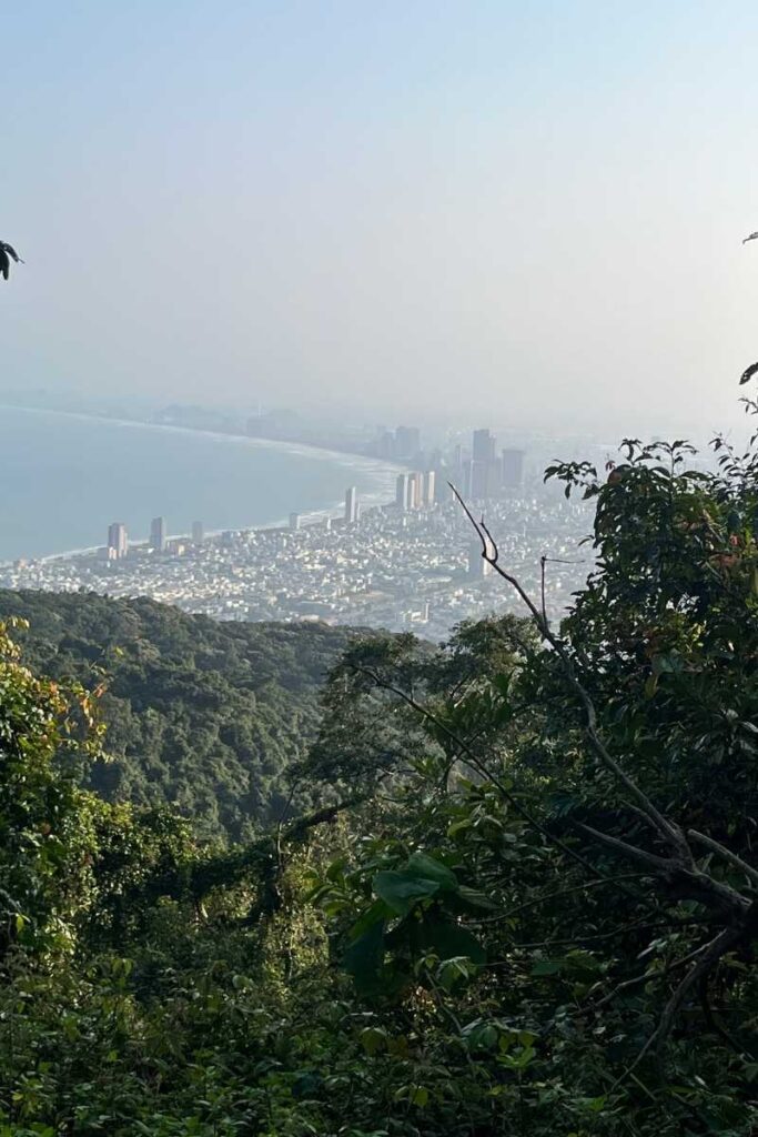 A scenic view of Da Nang’s coastline seen from a forested trail on Monkey Mountain Da Nang, with tall buildings lining the shore and thick jungle framing the cityscape below a hazy sky.