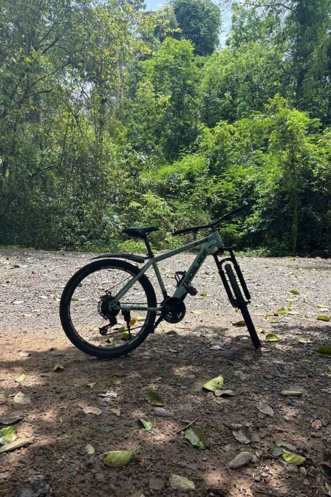 Bicycle parked on a dirt trail surrounded by lush green trees in Cat Tien National Park, a popular outdoor activity near Ho Chi Minh City for activities in Ho Chi Minh City.