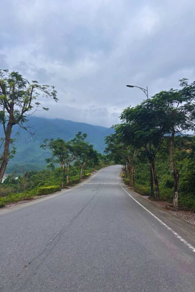 Paved road leading toward Ba Na Hills, lined with trees on both sides and surrounded by lush green mountains.
