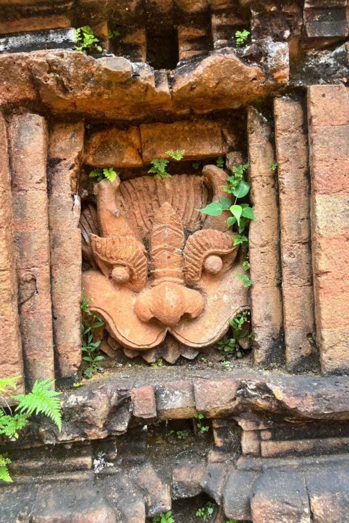 A close-up of an ancient brick carving of a mythical face embedded in a temple wall at My Son Sanctuary, partially overgrown with small ferns and vines.