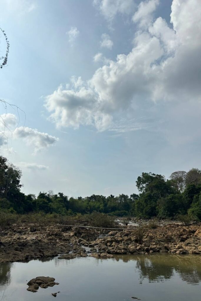 Ultimate Guide to Visiting Cat Tien National Park from HCMC