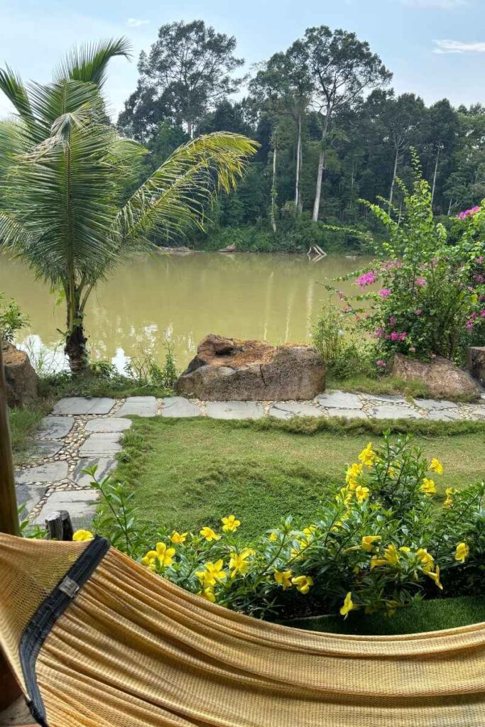 Scenic river view from a Cát Tiên accommodation, featuring palm trees, blooming flowers, and forest across the water.