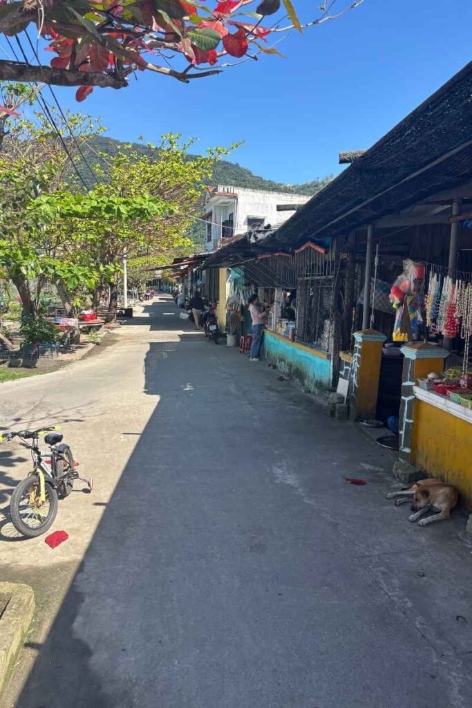 Narrow backroad in a Cham Island village lined with market stalls, bicycles, and a sleeping dog, with mountains in the background and sunlight filtering through trees.